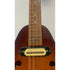 Ozark Electro Acoustic Mandolin in Sunburst Pre-Owned