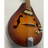 Ozark Electro Acoustic Mandolin in Sunburst Pre-Owned