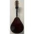 Ozark Electro Acoustic Mandolin in Sunburst Pre-Owned