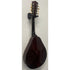 Ozark Electro Acoustic Mandolin in Sunburst Pre-Owned