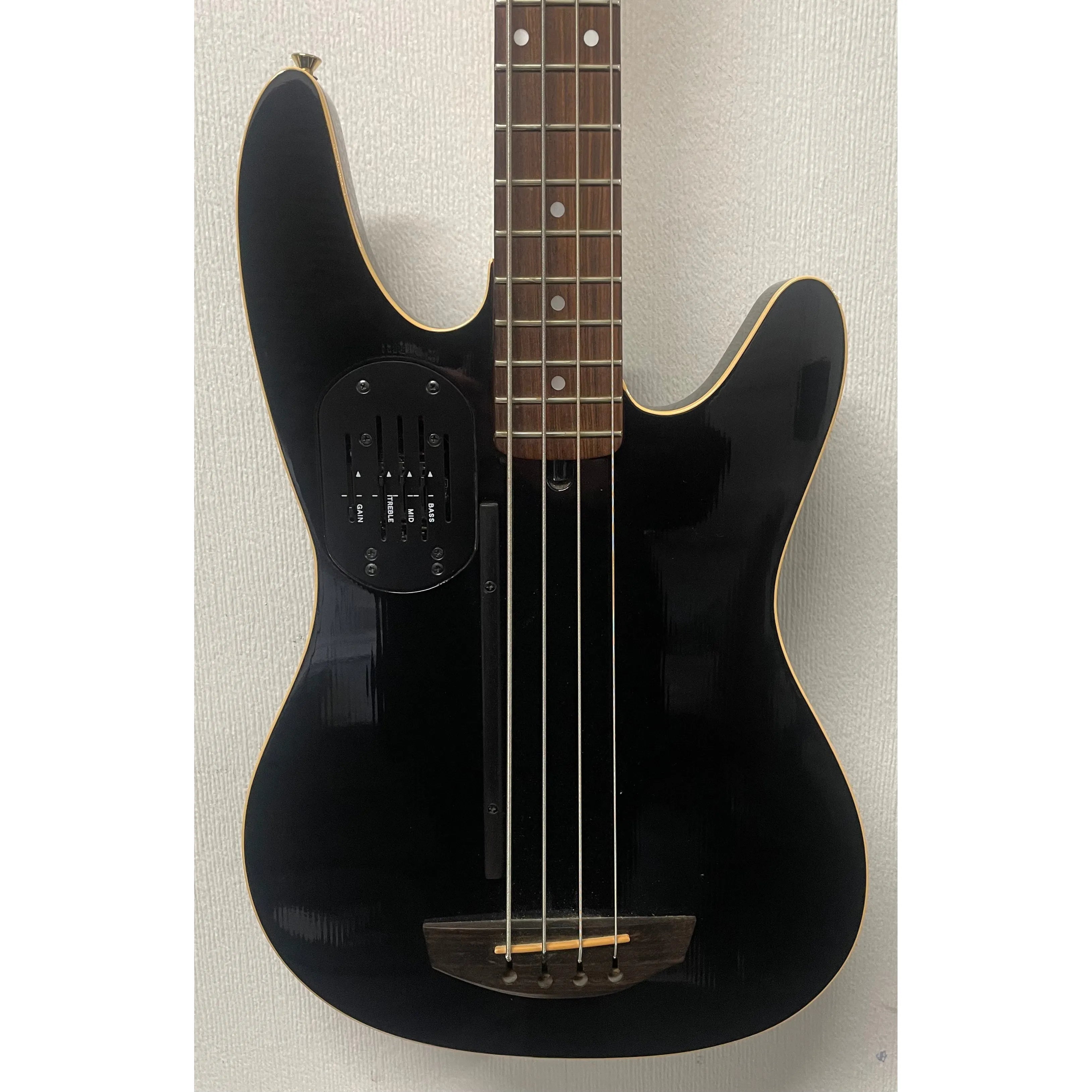 Godin/LR Baggs Hollowbody Electro Acoustic Bass Guitar in Black with Gigbag Pre-Owned