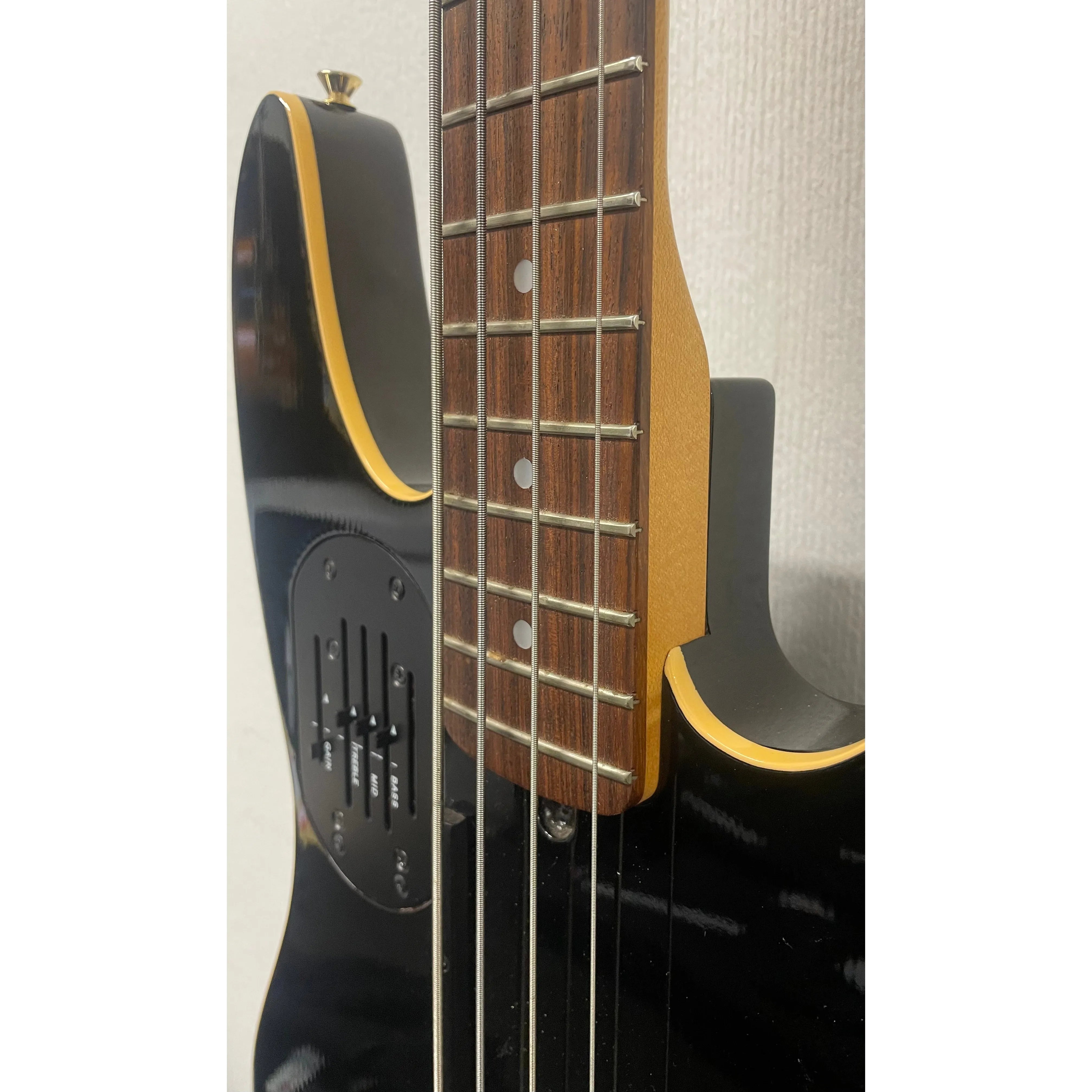 Godin/LR Baggs Hollowbody Electro Acoustic Bass Guitar in Black with Gigbag Pre-Owned