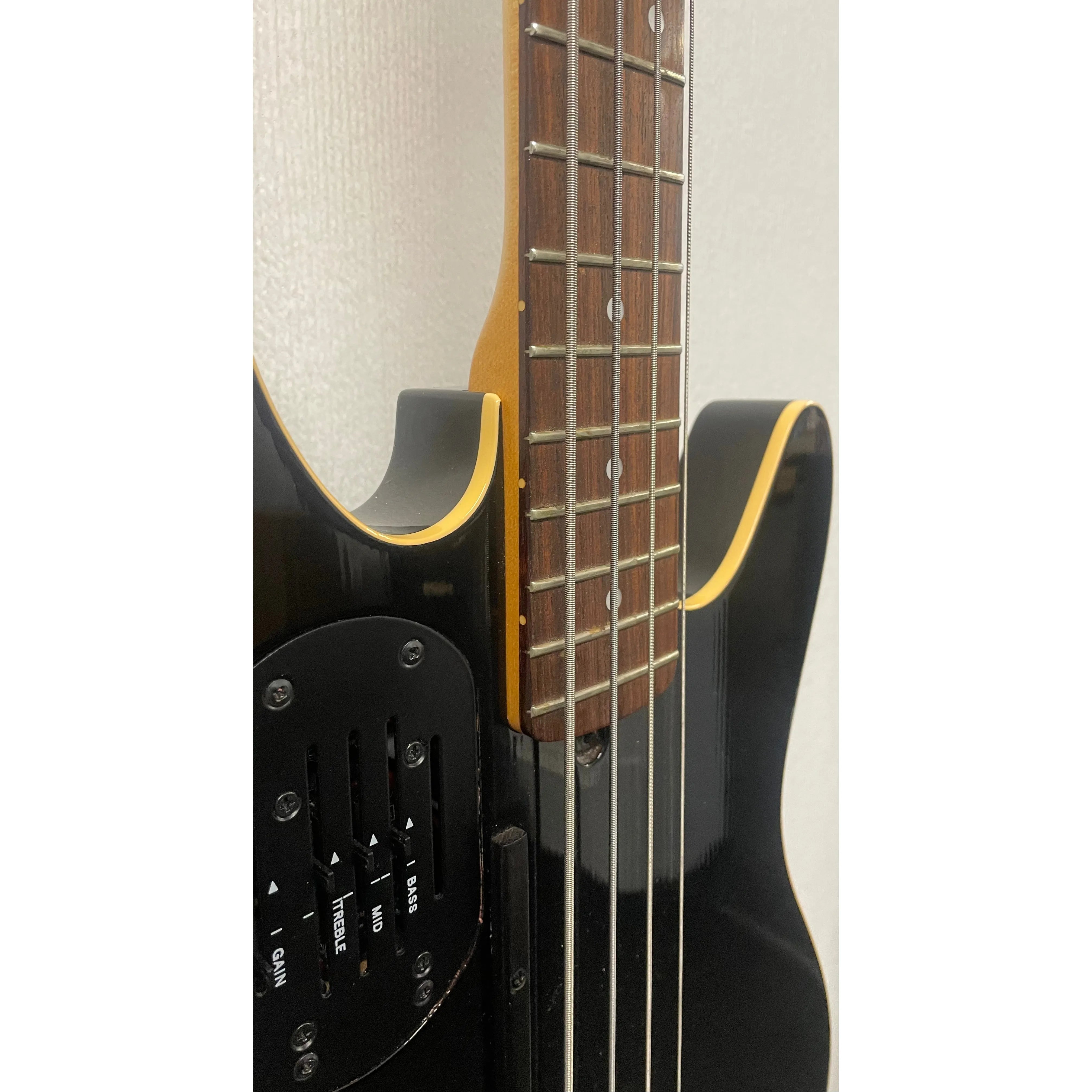 Godin/LR Baggs Hollowbody Electro Acoustic Bass Guitar in Black with Gigbag Pre-Owned