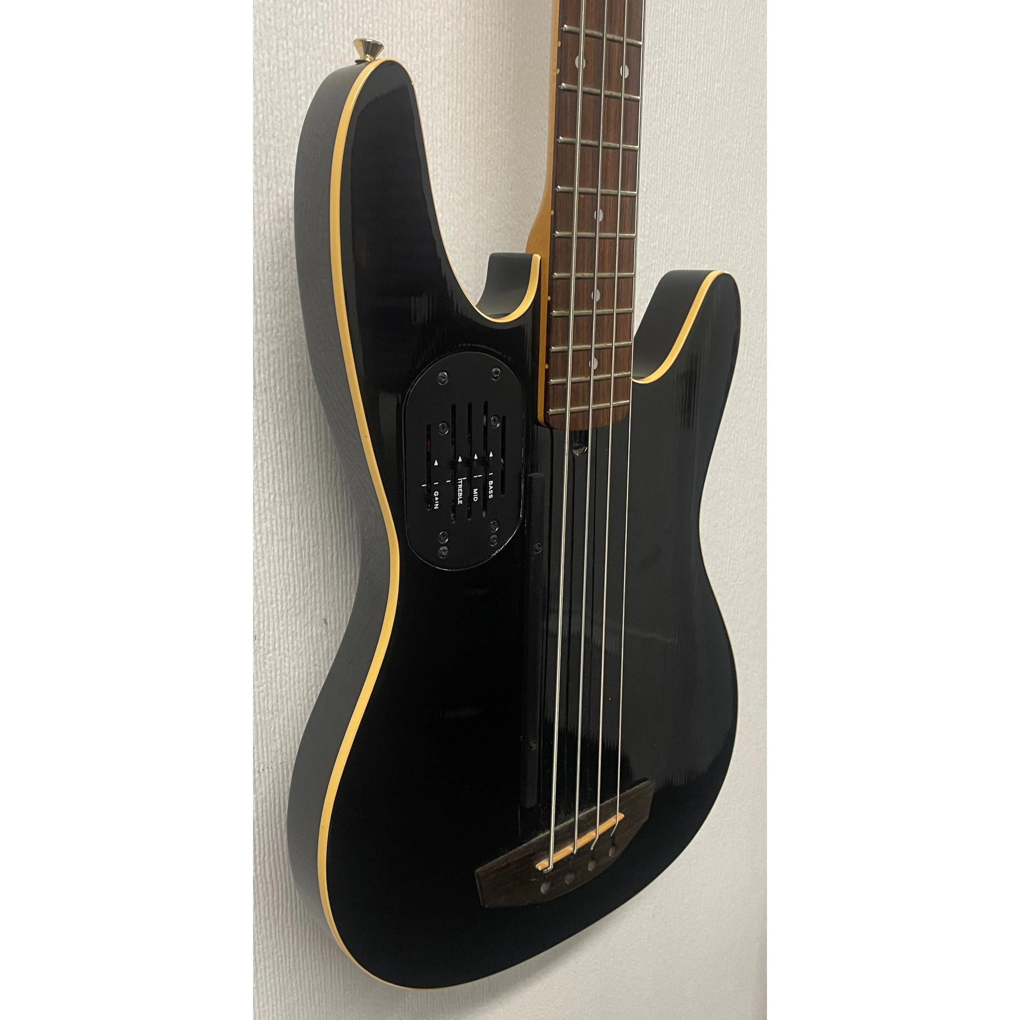 Godin/LR Baggs Hollowbody Electro Acoustic Bass Guitar in Black with Gigbag Pre-Owned