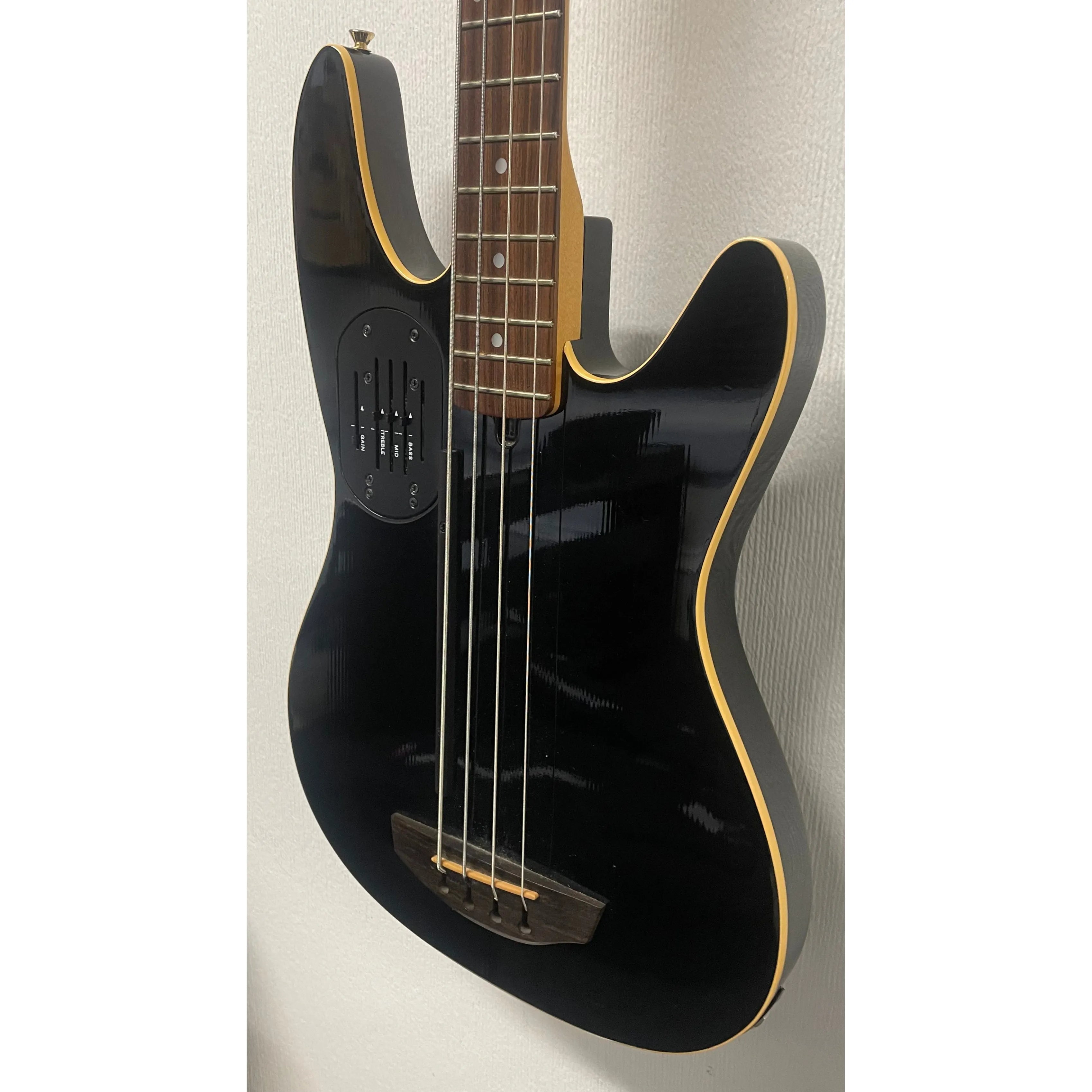 Godin/LR Baggs Hollowbody Electro Acoustic Bass Guitar in Black with Gigbag Pre-Owned