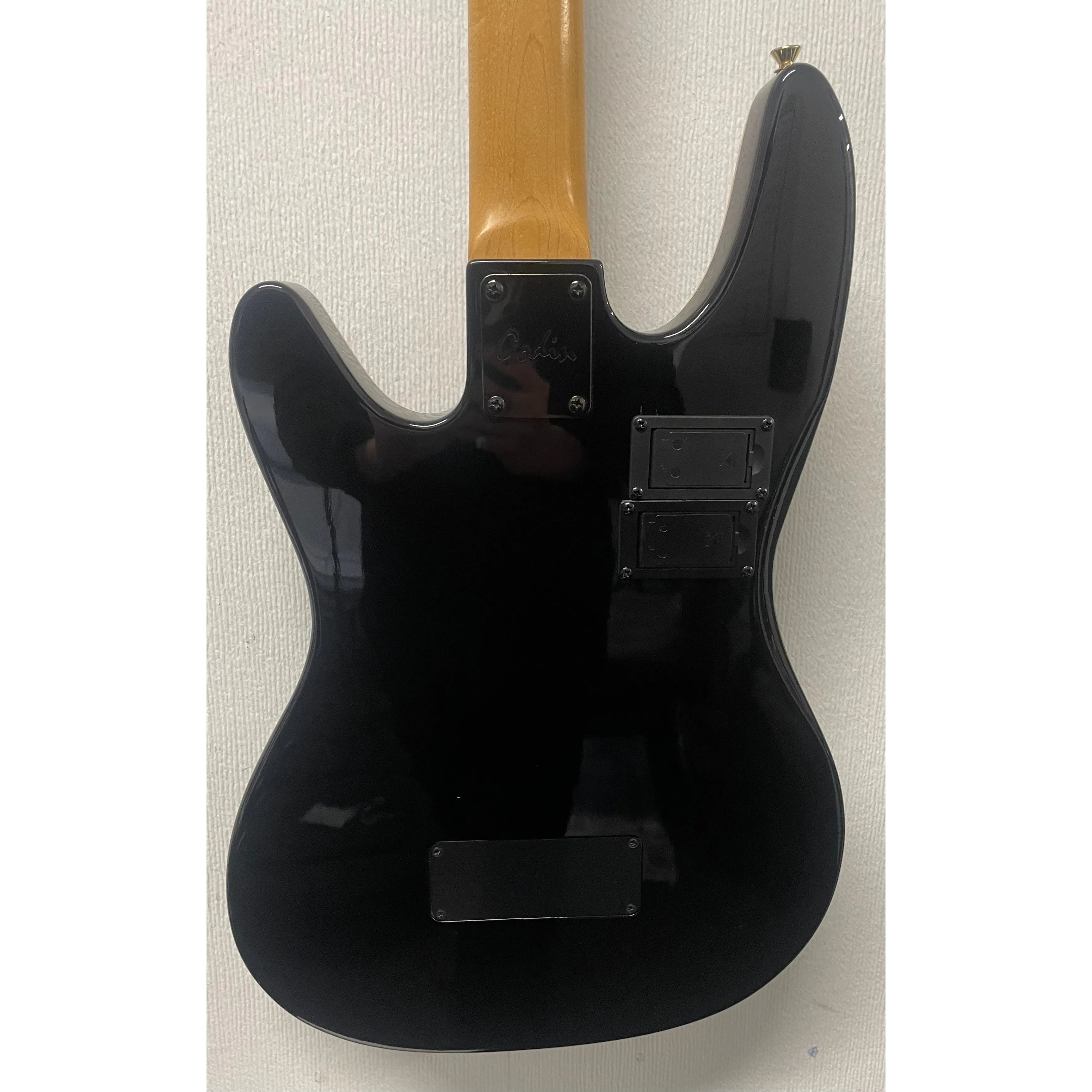 Godin/LR Baggs Hollowbody Electro Acoustic Bass Guitar in Black with Gigbag Pre-Owned