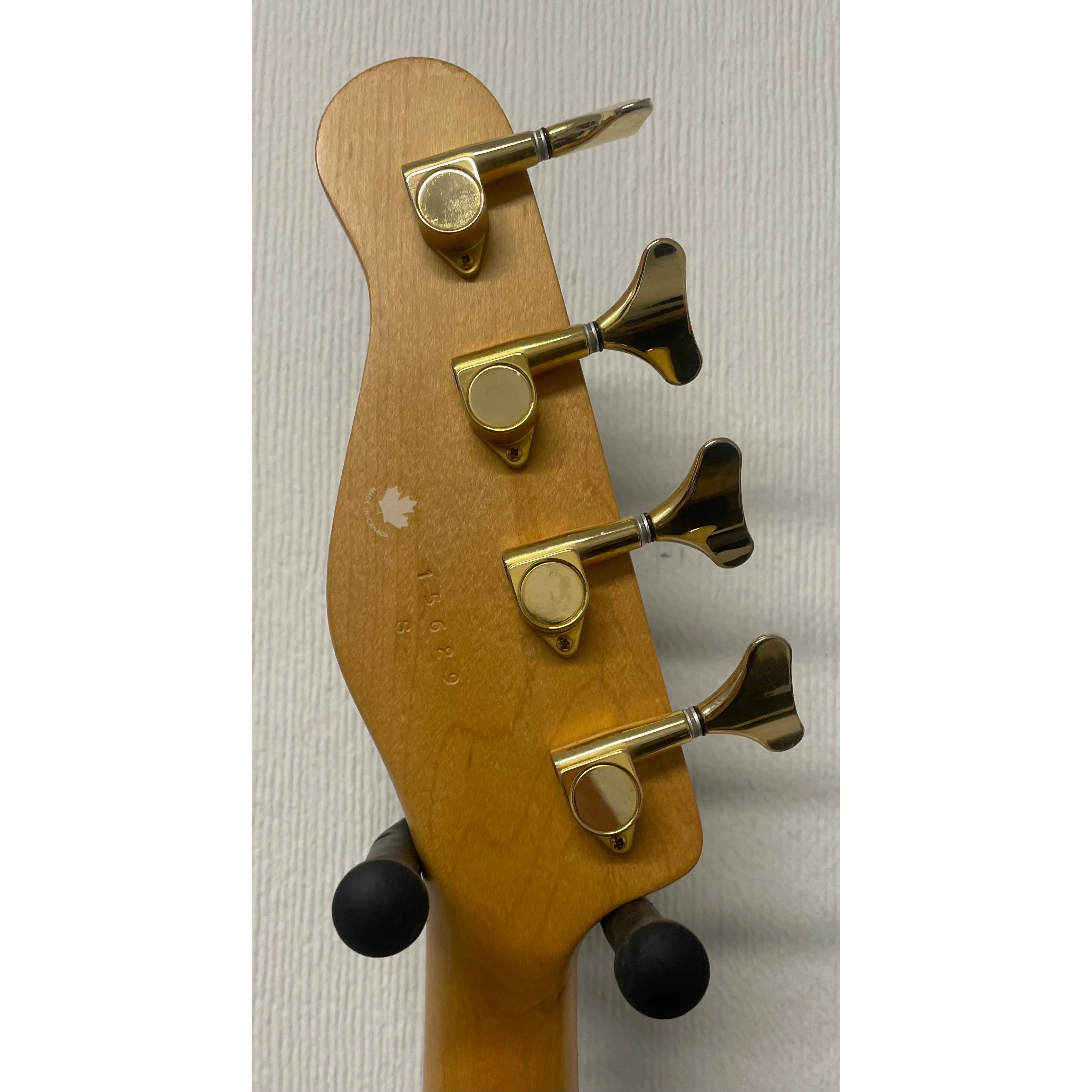 Godin/LR Baggs Hollowbody Electro Acoustic Bass Guitar in Black with Gigbag Pre-Owned