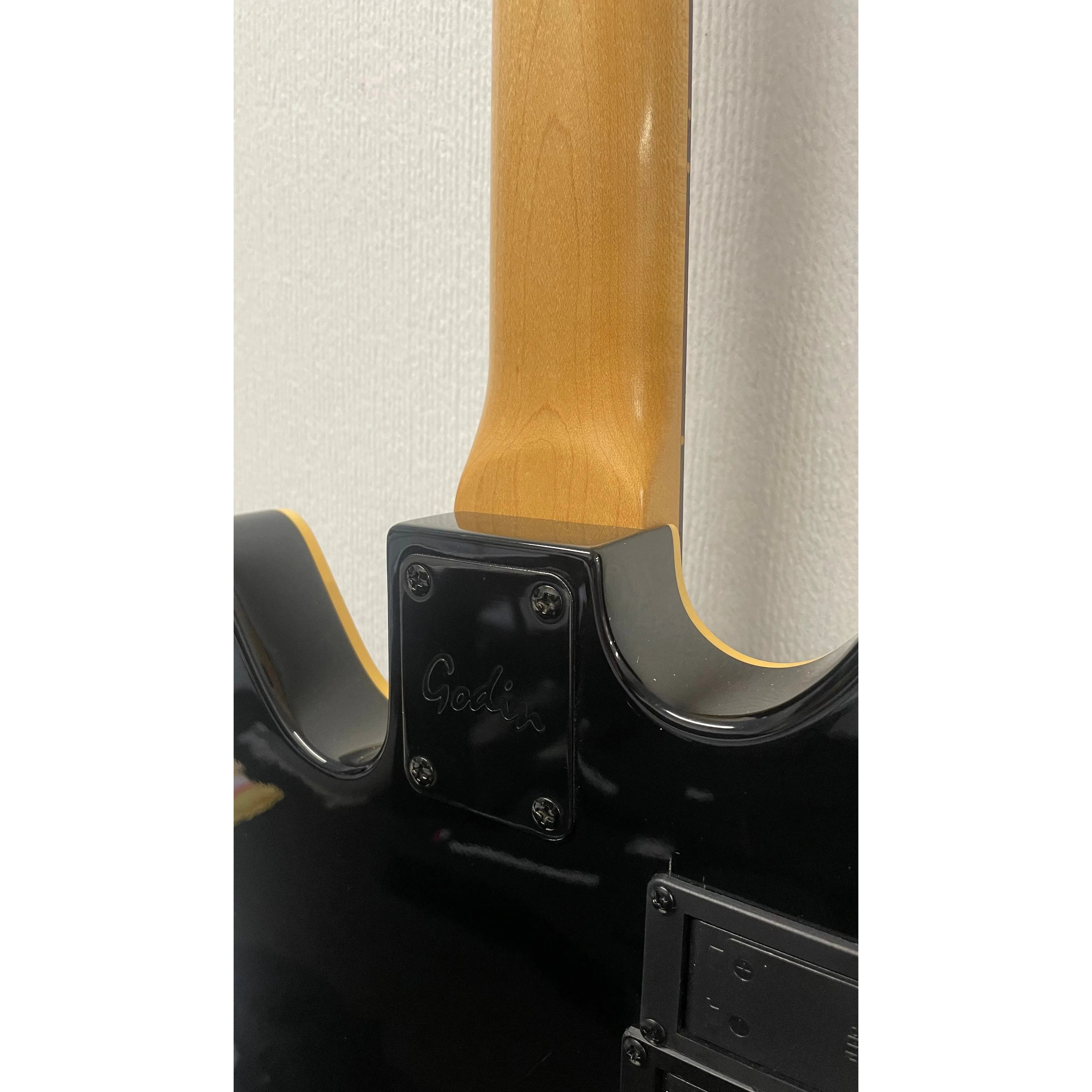 Godin/LR Baggs Hollowbody Electro Acoustic Bass Guitar in Black with Gigbag Pre-Owned