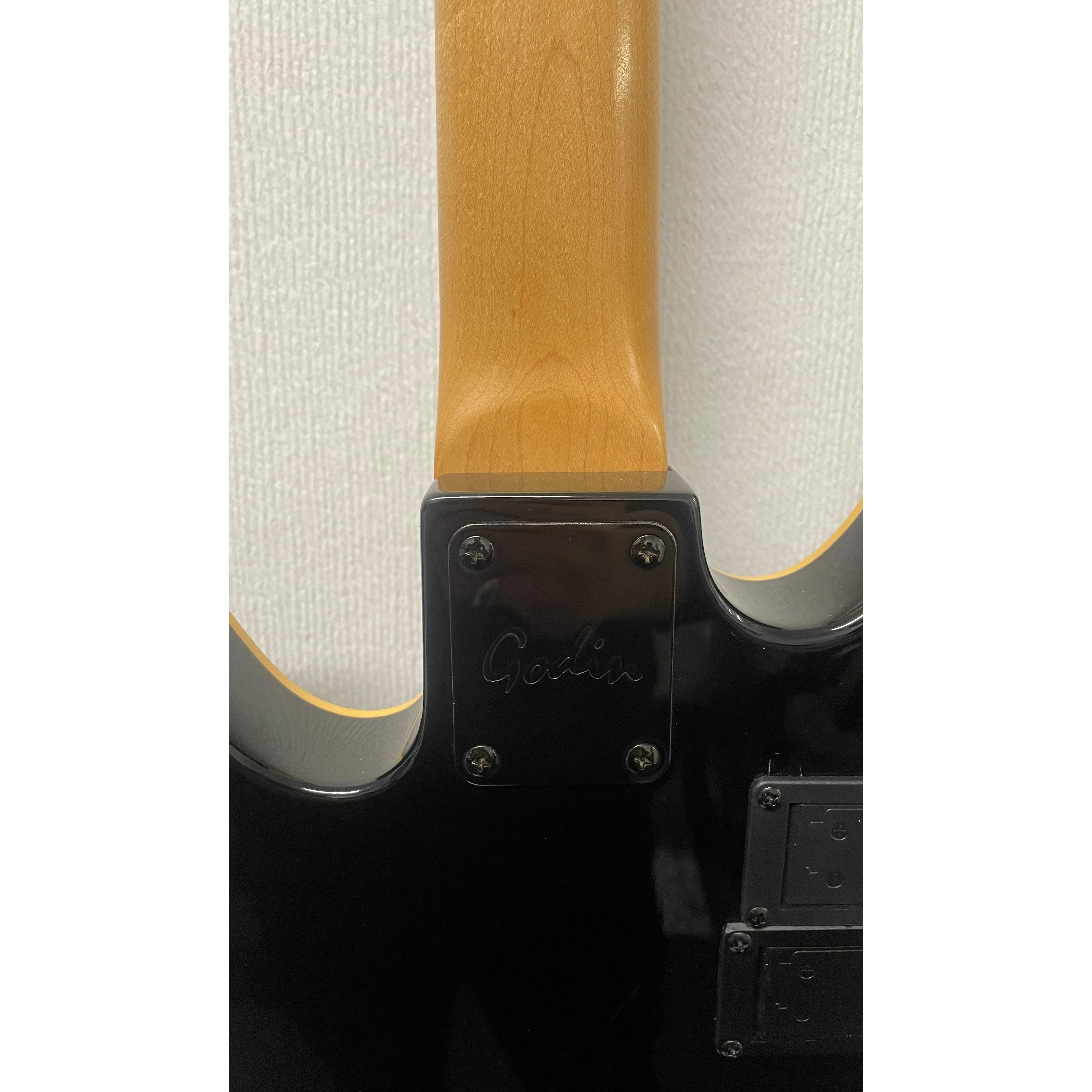 Godin/LR Baggs Hollowbody Electro Acoustic Bass Guitar in Black with Gigbag Pre-Owned