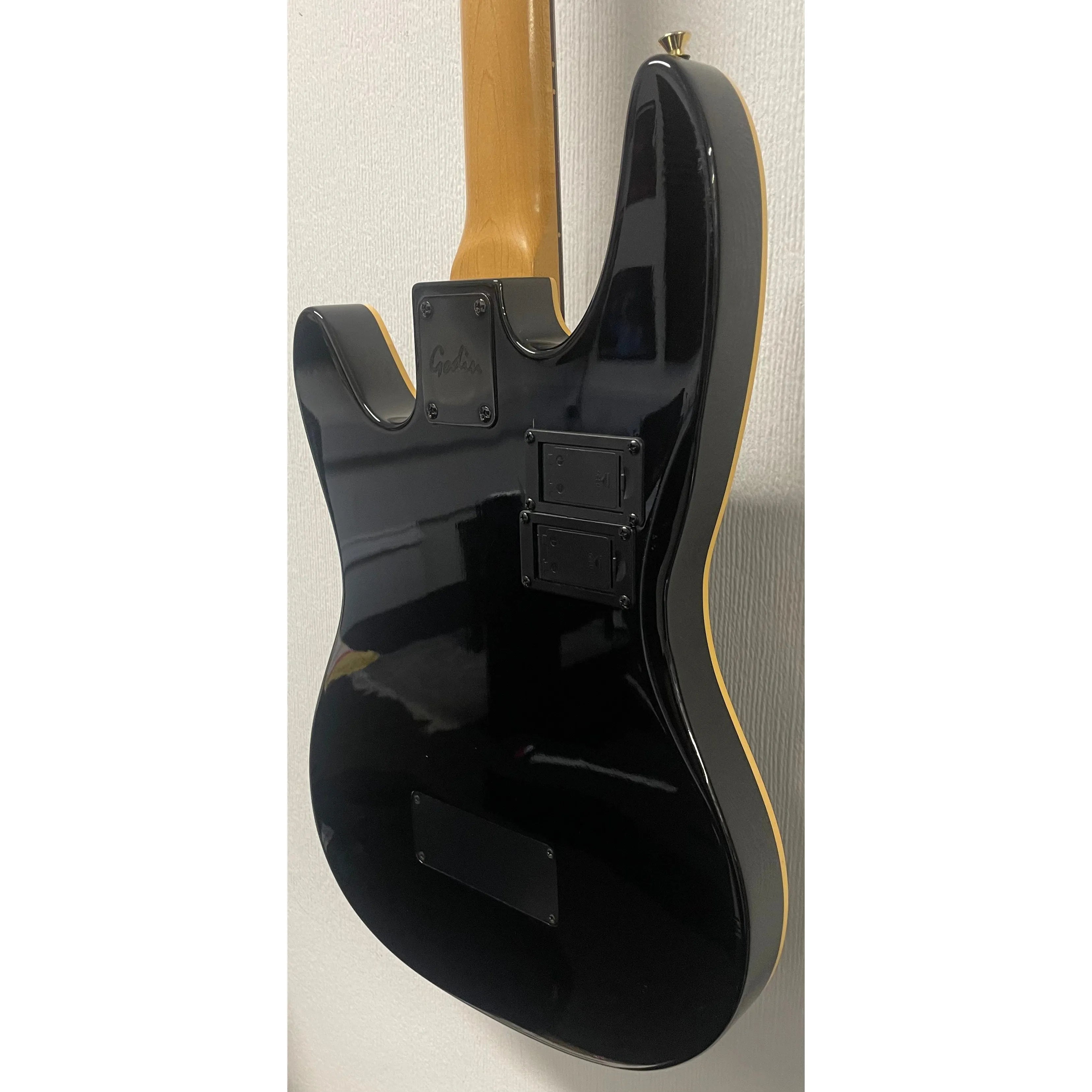 Godin/LR Baggs Hollowbody Electro Acoustic Bass Guitar in Black with Gigbag Pre-Owned