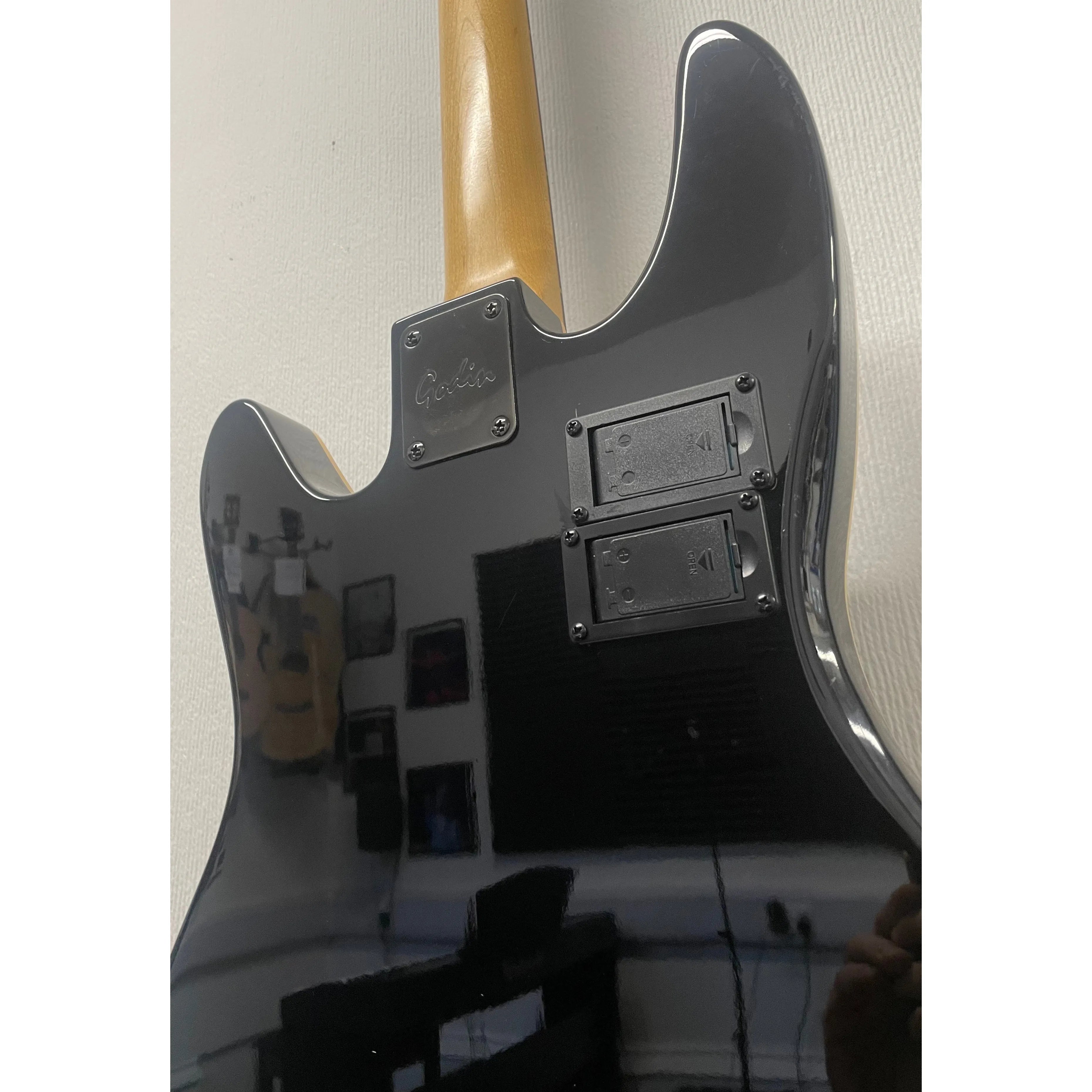 Godin/LR Baggs Hollowbody Electro Acoustic Bass Guitar in Black with Gigbag Pre-Owned