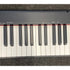Casio CDP-S110 Keyboard Digital Piano 88 Keys in Black with Gigbag Pre-Owned