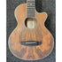 Tanglewood Reunion Pro Travel Electro Acoustic Guitar in Black Walnut B STOCK