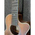 Tanglewood Reunion Pro Travel Electro Acoustic Guitar in Black Walnut B STOCK