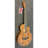 Tanglewood Reunion Pro Travel Electro Acoustic Guitar in Black Walnut B STOCK