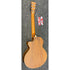 Tanglewood Reunion Pro Travel Electro Acoustic Guitar in Black Walnut B STOCK