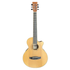 Tanglewood Discovery DBT-TCE-BW Travel Sized Electro Acoustic Guitar in Black Walnut and Spruce with Gigbag Pre-Owned