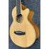 Tanglewood Discovery DBT-TCE-BW Travel Sized Electro Acoustic Guitar in Black Walnut and Spruce with Gigbag Pre-Owned