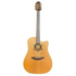 Takamine EN-10C Dreadnought Electro Acoustic Guitar MIJ Made in Japan with Hardcase Pre-Owned