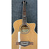 EKO NXT Series Electro Acoustic Guitar 018 CW EQ in Natural Gloss FInish Pre-Owned