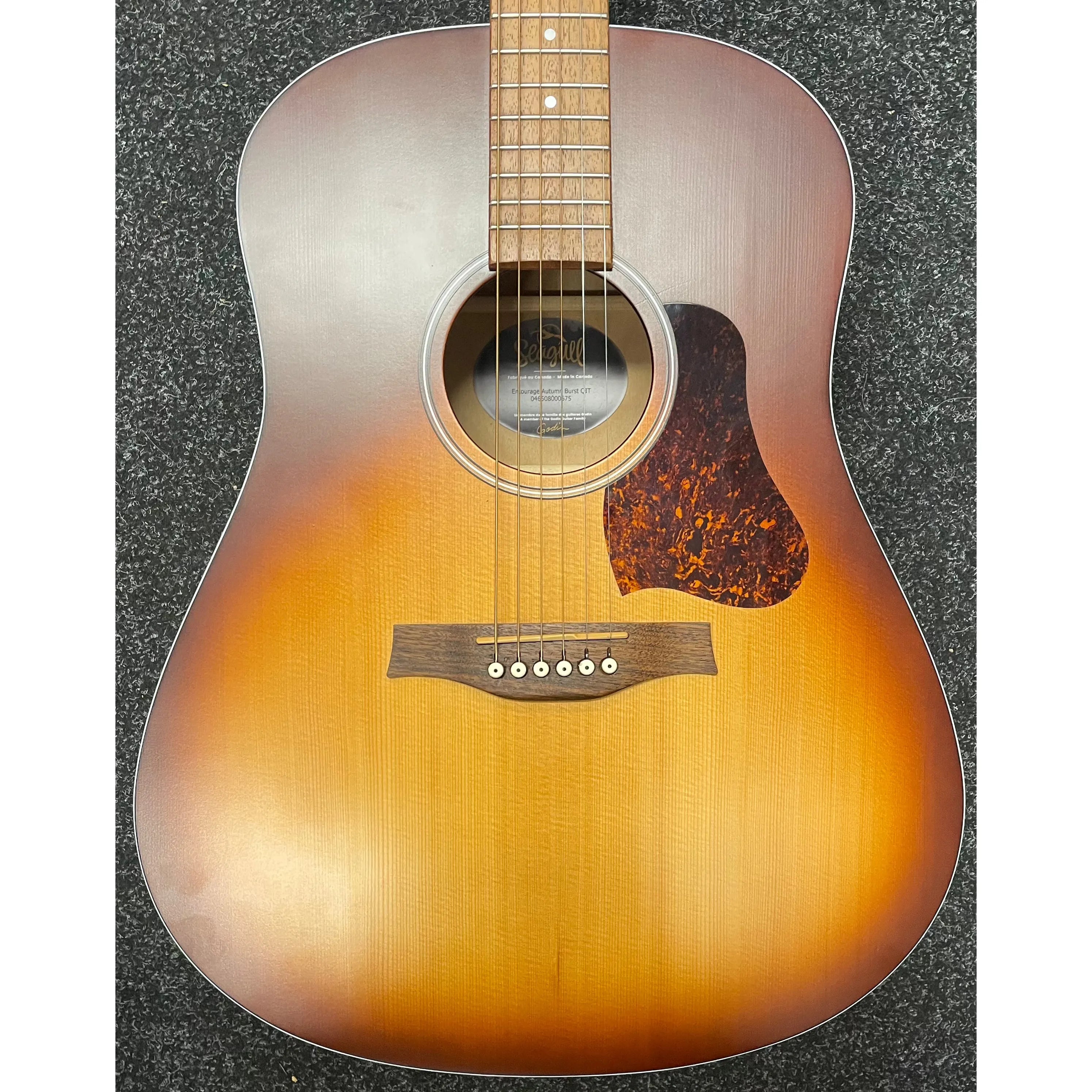 Seagull Entourage QIT in Autumn Burst Electro Acoustic Guitar Pre-Owned