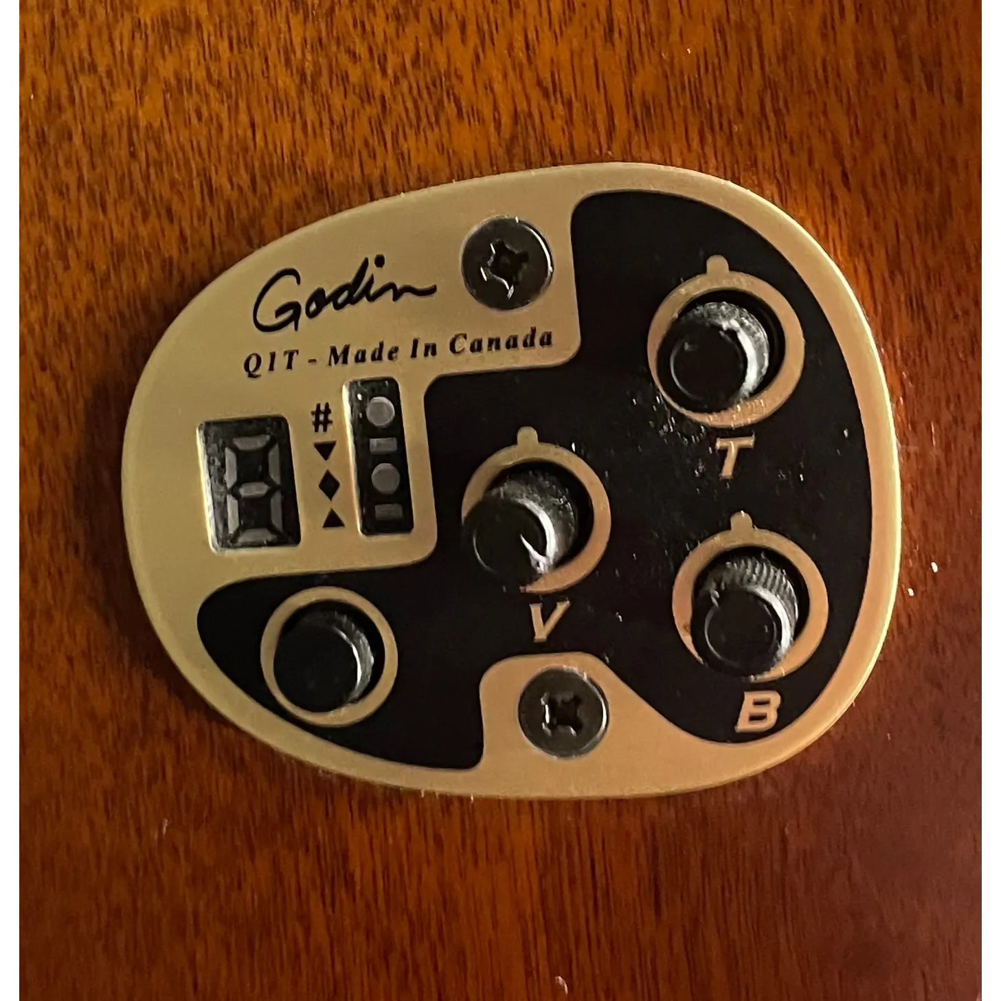 Seagull Entourage QIT in Autumn Burst Electro Acoustic Guitar Pre-Owned