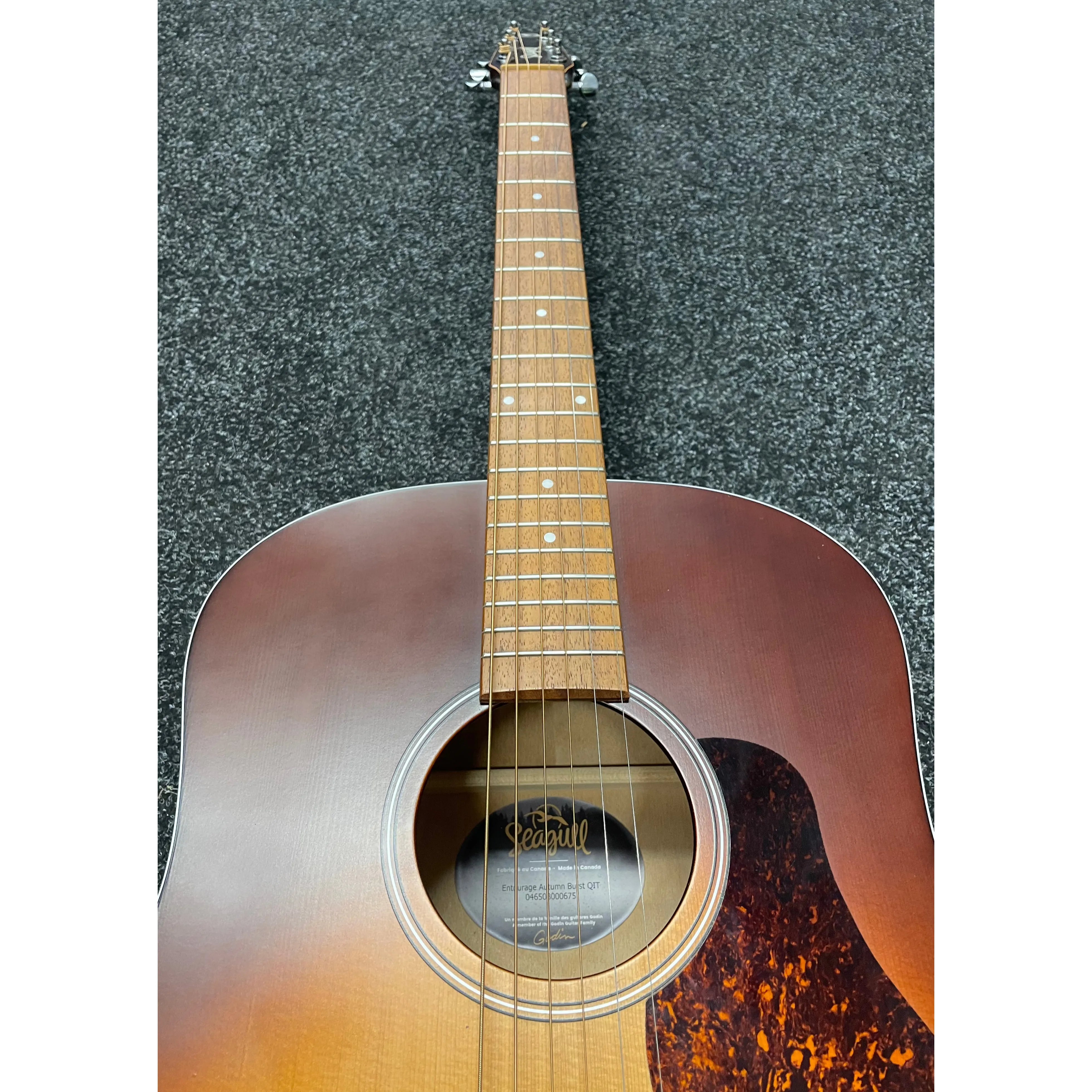 Seagull Entourage QIT in Autumn Burst Electro Acoustic Guitar Pre-Owned