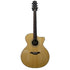 Turner Jumbo 45CE Electro Acoustic Guitar