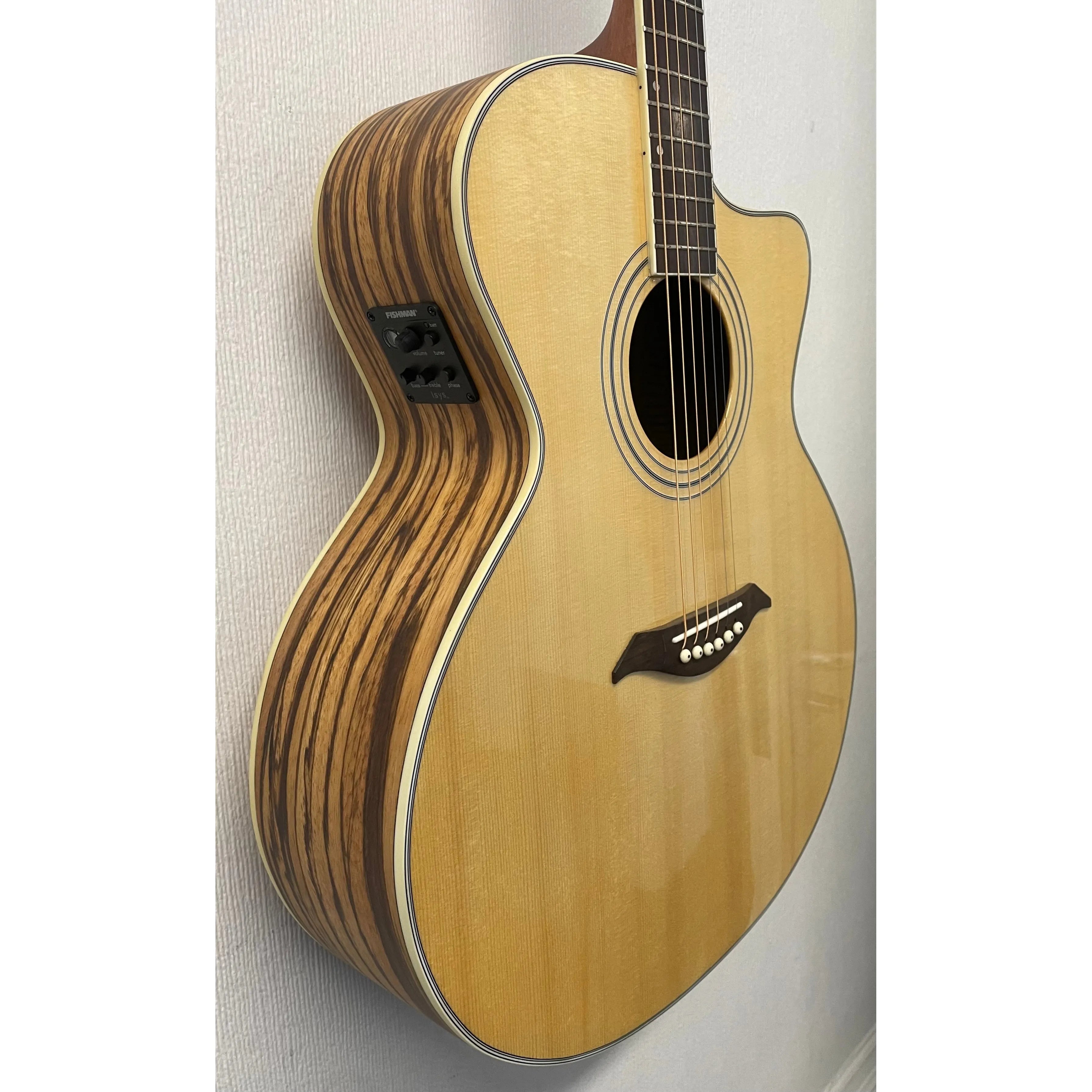 Turner Jumbo 45CE Electro Acoustic Guitar