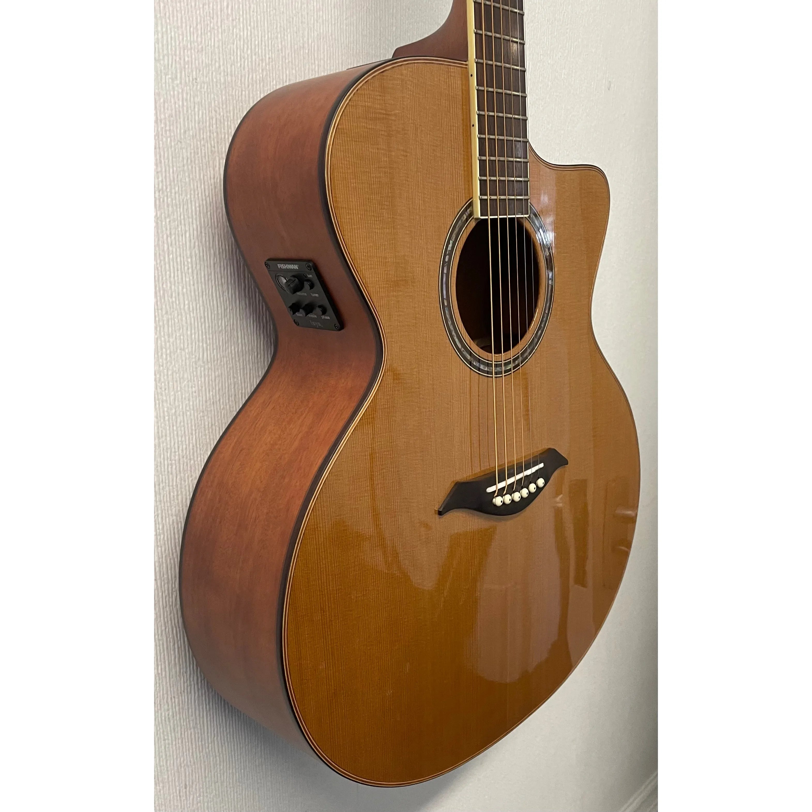 Turner Jumbo 55CE Electro Acoustic Guitar