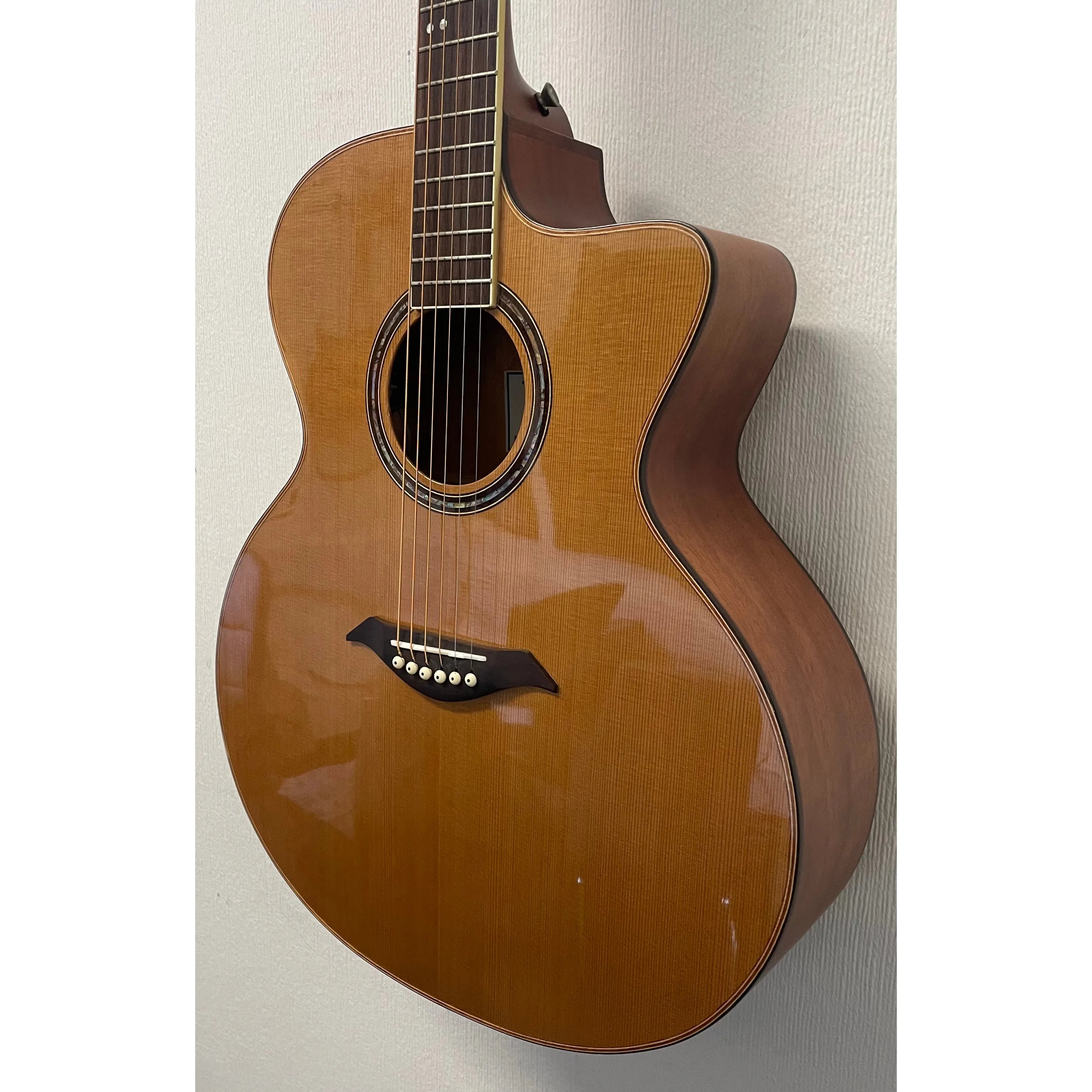 Turner Jumbo 55CE Electro Acoustic Guitar