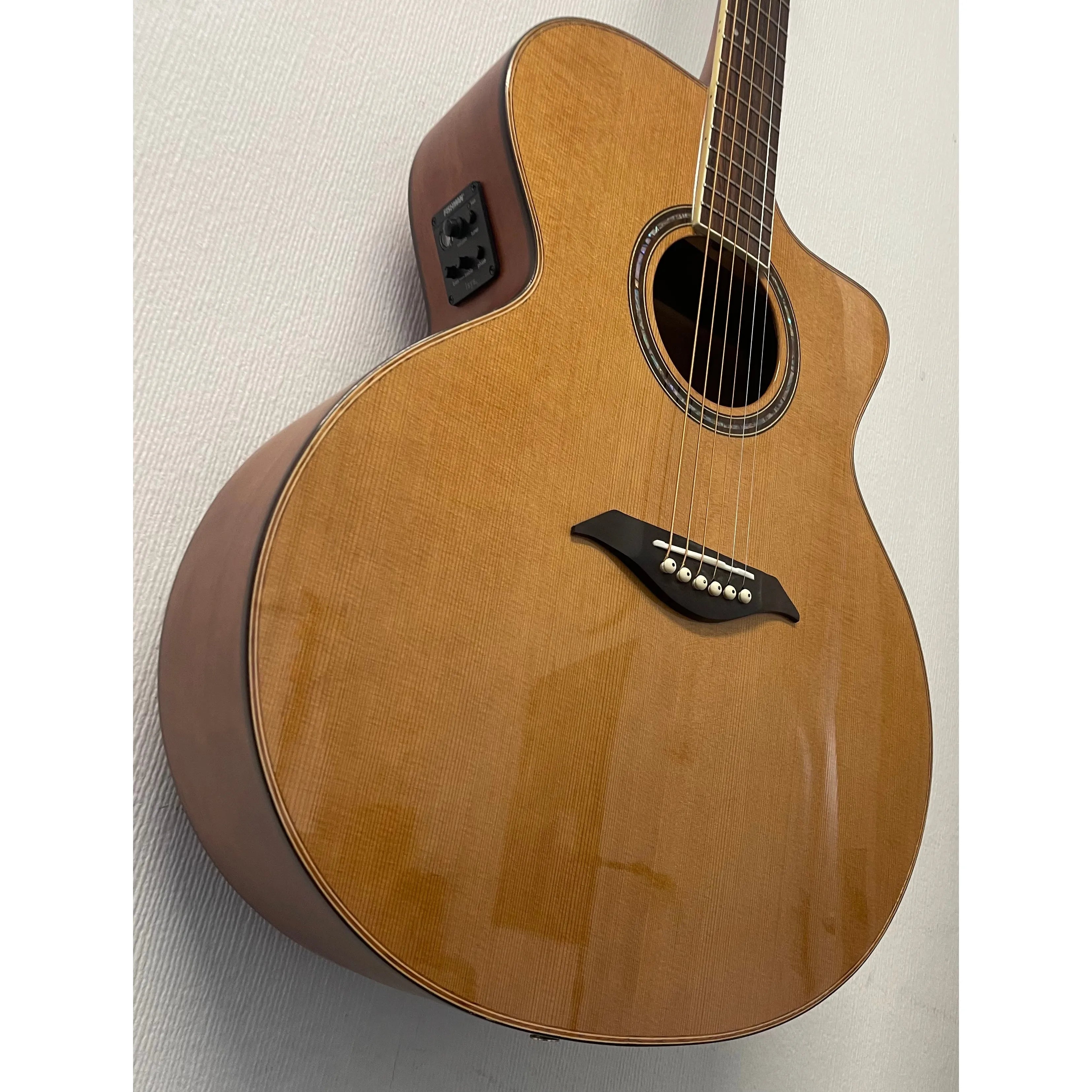 Turner Jumbo 55CE Electro Acoustic Guitar