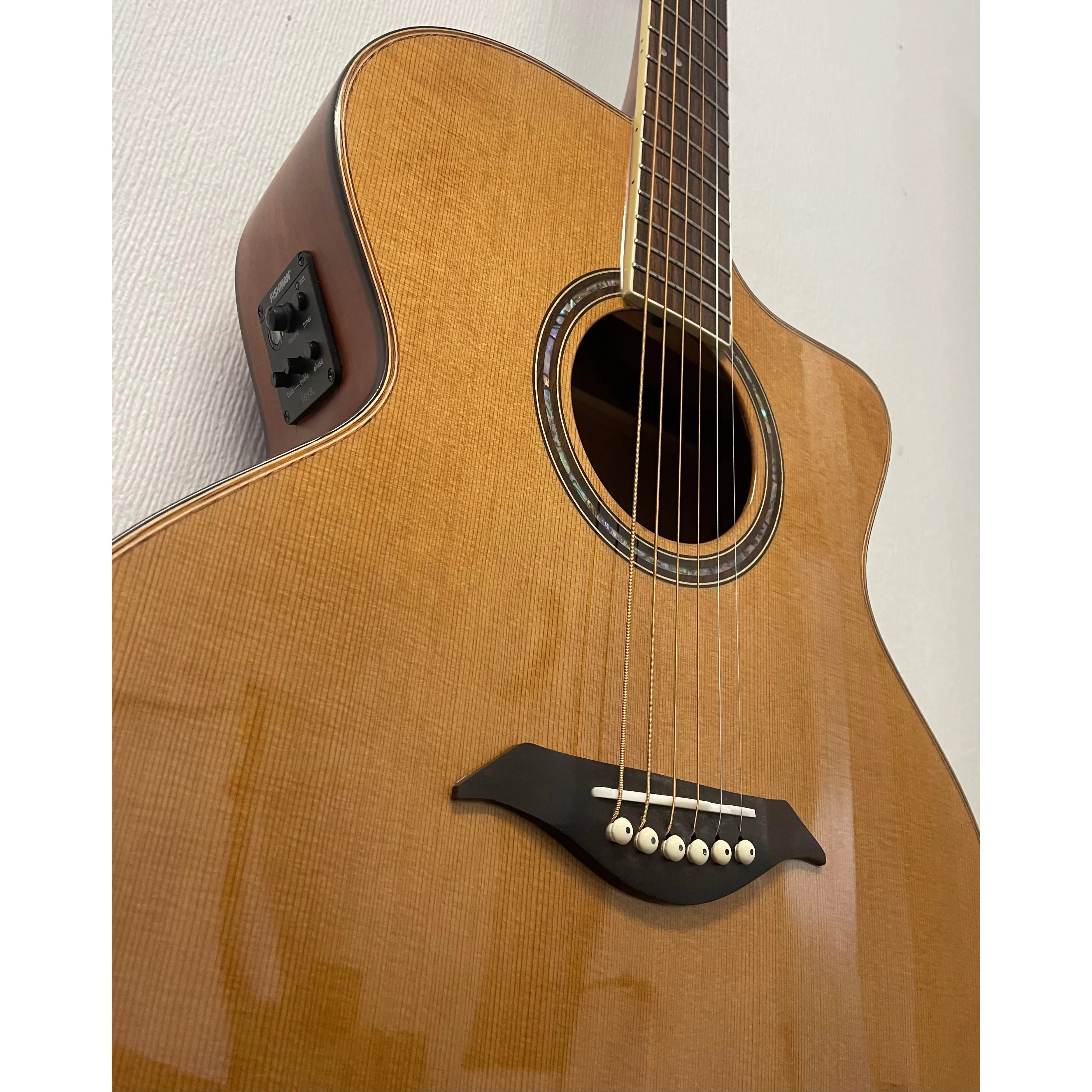 Turner Jumbo 55CE Electro Acoustic Guitar
