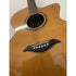Turner Jumbo 55CE Electro Acoustic Guitar