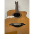 Turner Jumbo 55CE Electro Acoustic Guitar