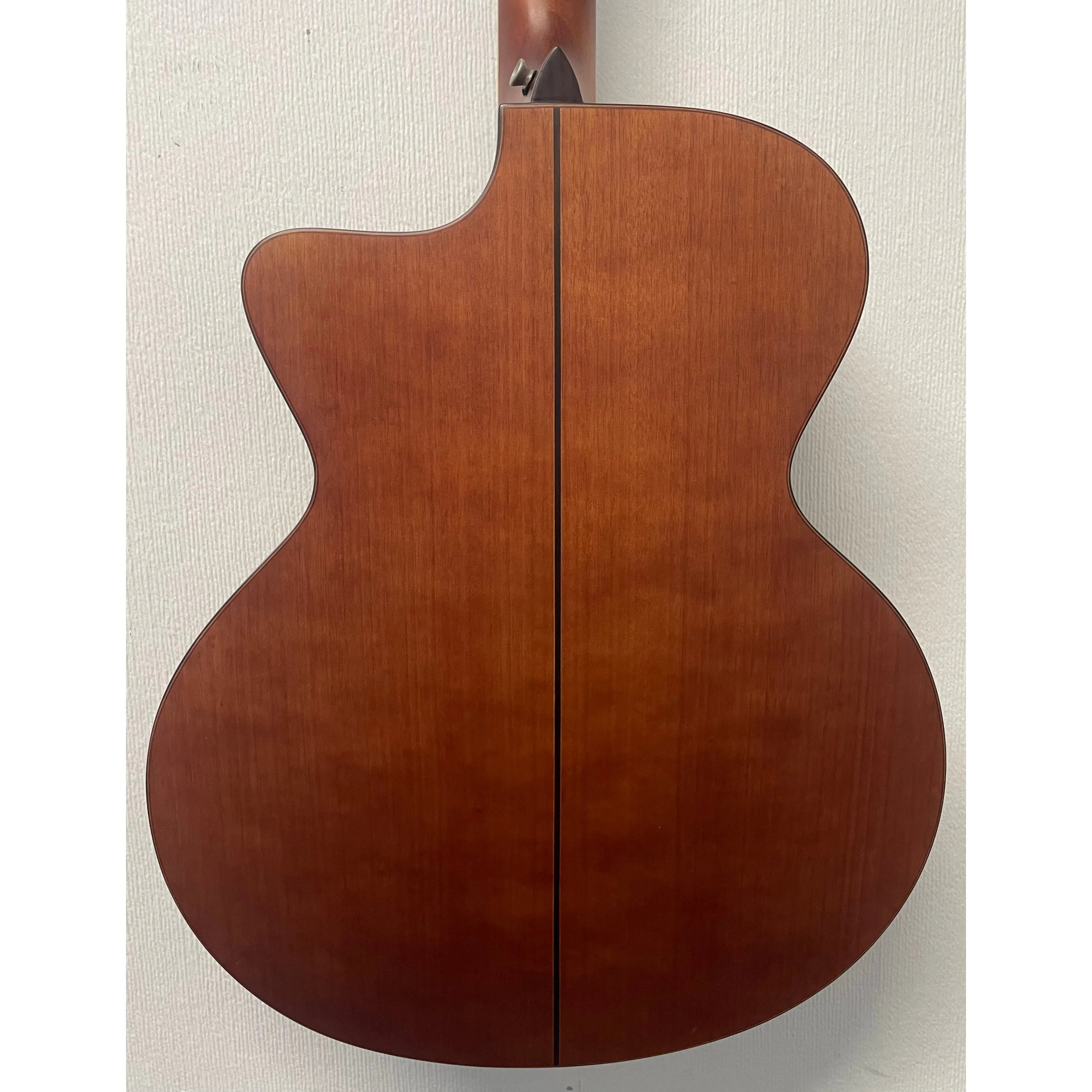 Turner Jumbo 55CE Electro Acoustic Guitar