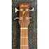 Ibanez PCBE12MH-OPN Open Pour Electro Acoustic Bass Guitar with Gigbag Pre-Owned