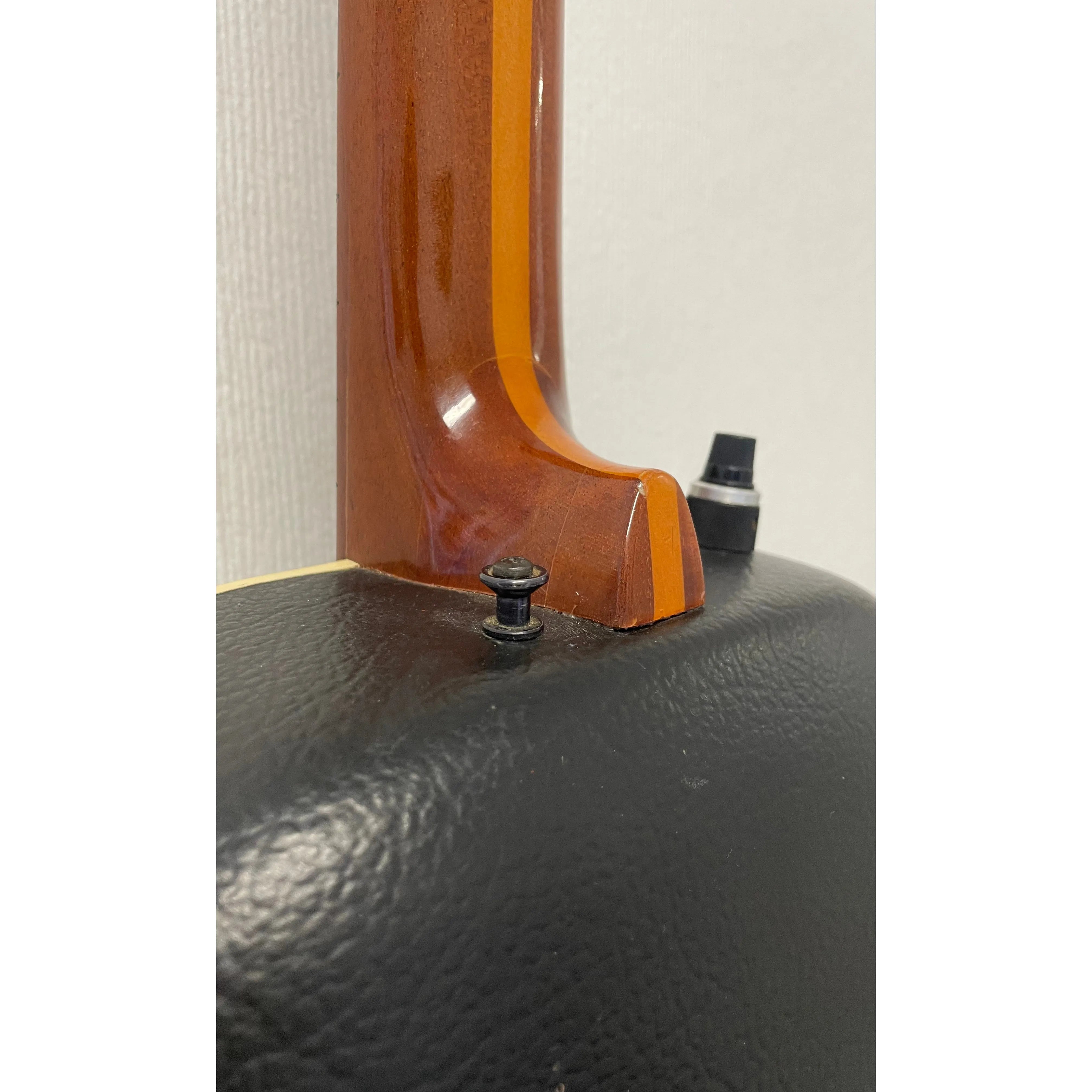 Clarissa Roundback Electro-Acoustic Ovation Style G100EL in Black Pre-Owned