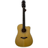 Turner Dreadnought 60CE Electro Acoustic Guitar