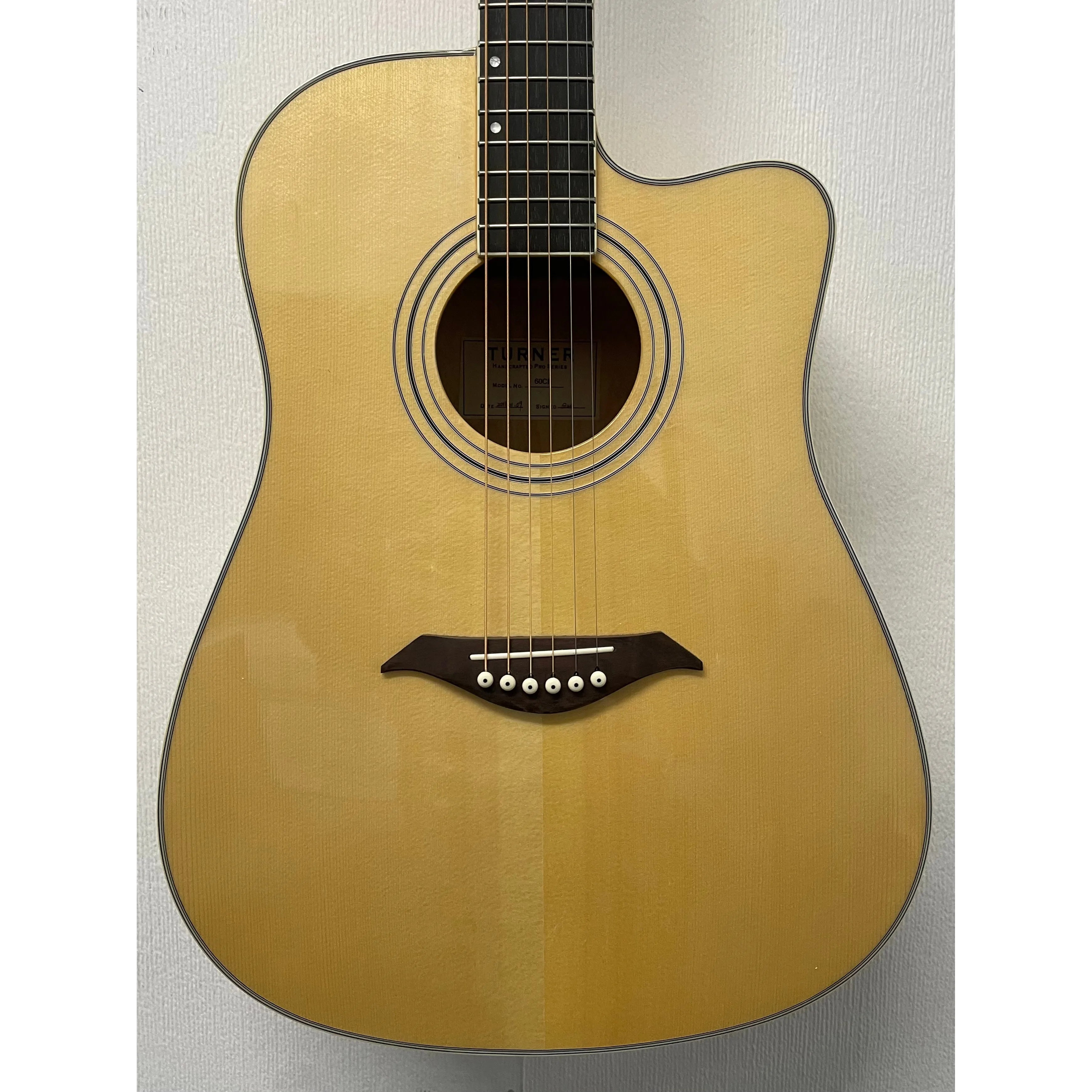 Turner Dreadnought 60CE Electro Acoustic Guitar