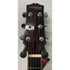 Turner Dreadnought 60CE Electro Acoustic Guitar