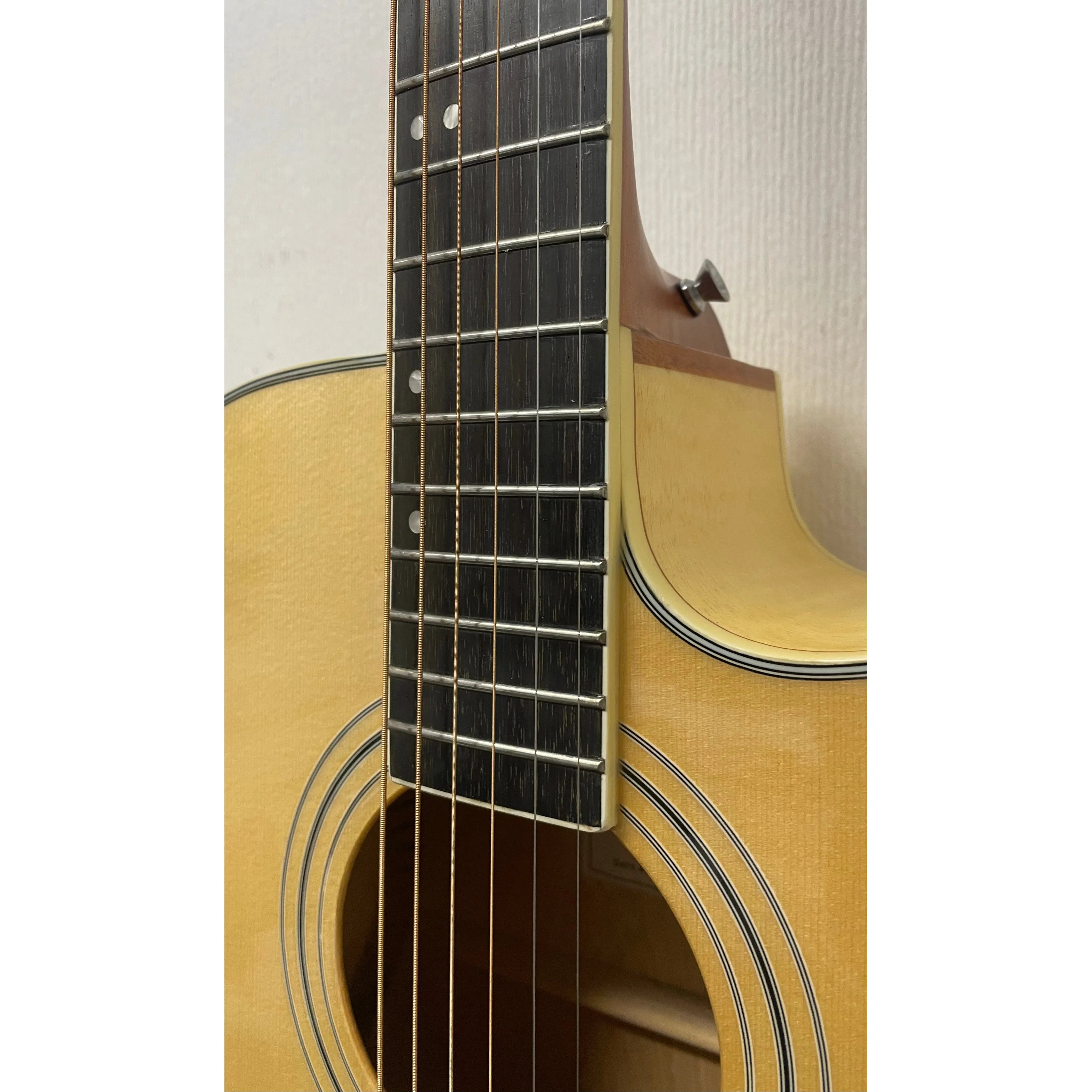 Turner Dreadnought 60CE Electro Acoustic Guitar