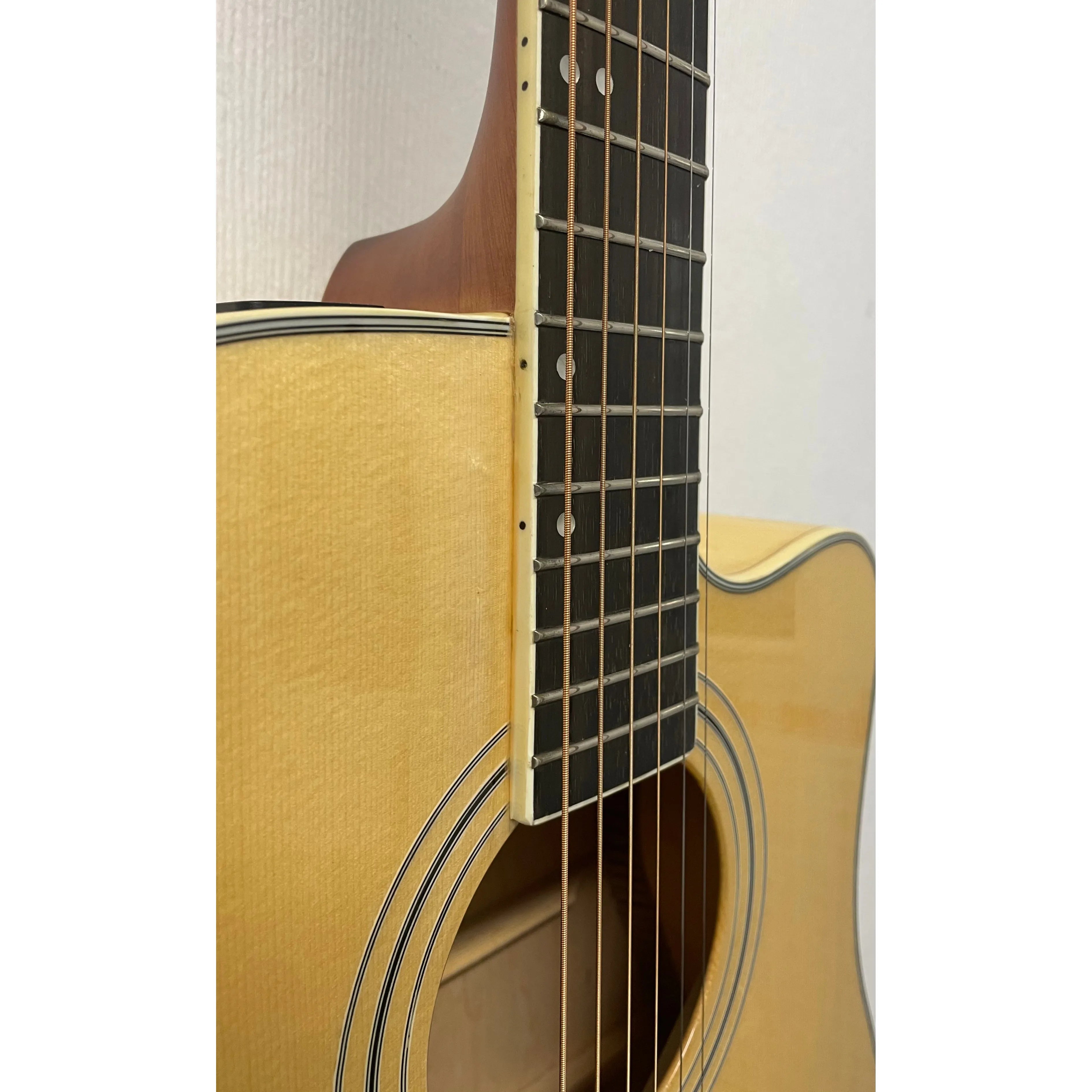 Turner Dreadnought 60CE Electro Acoustic Guitar