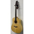 Turner Dreadnought 60CE Electro Acoustic Guitar
