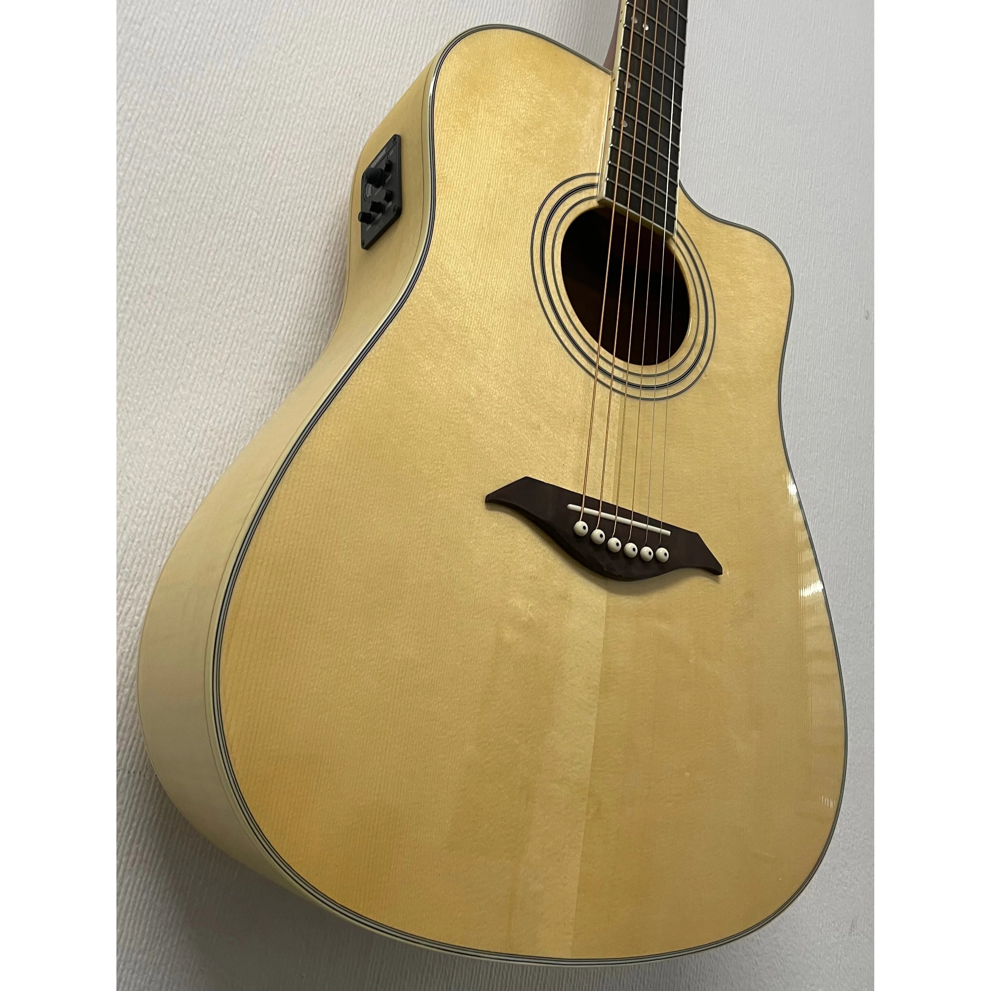 Turner Dreadnought 60CE Electro Acoustic Guitar