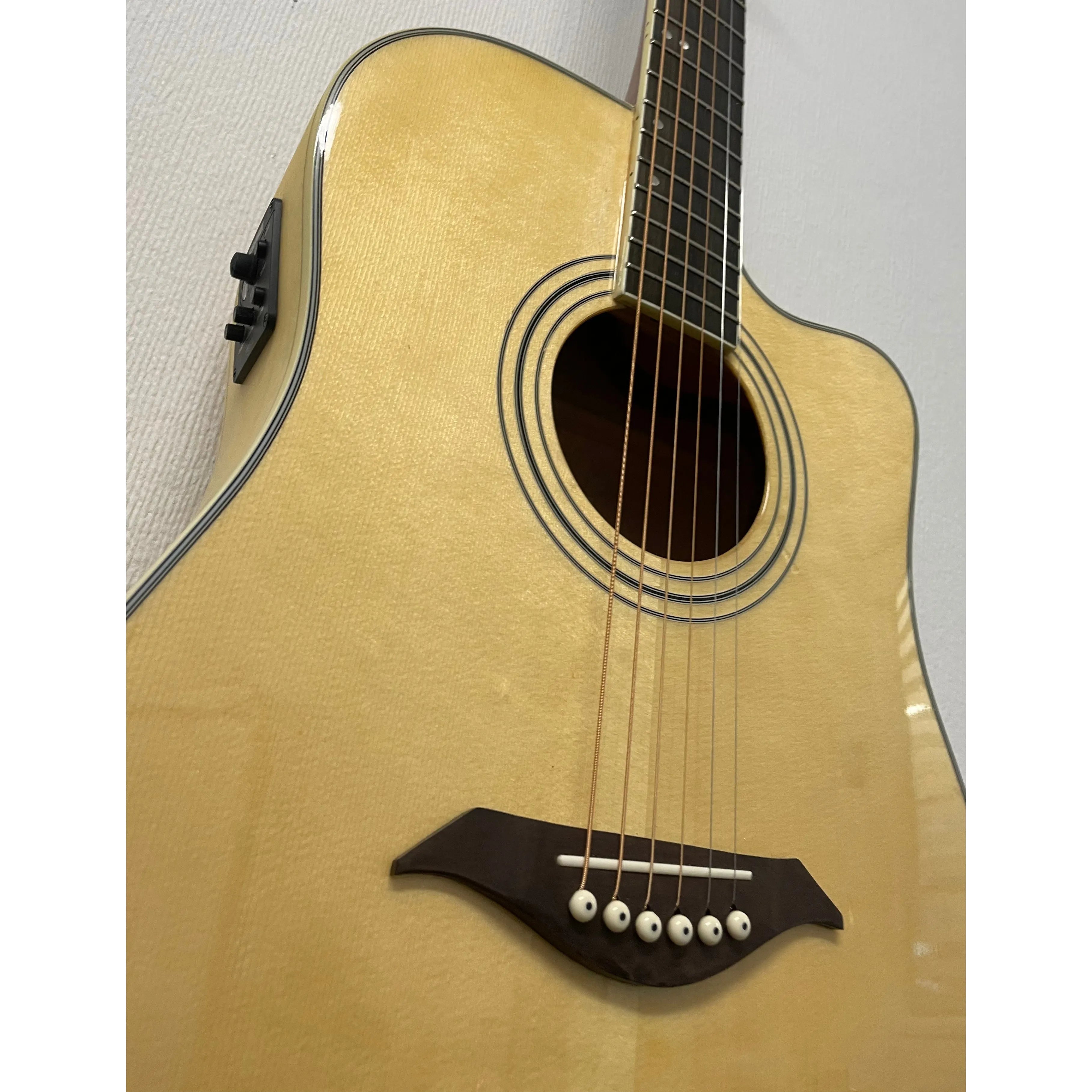 Turner Dreadnought 60CE Electro Acoustic Guitar