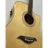 Turner Dreadnought 60CE Electro Acoustic Guitar