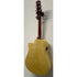 Turner Dreadnought 60CE Electro Acoustic Guitar
