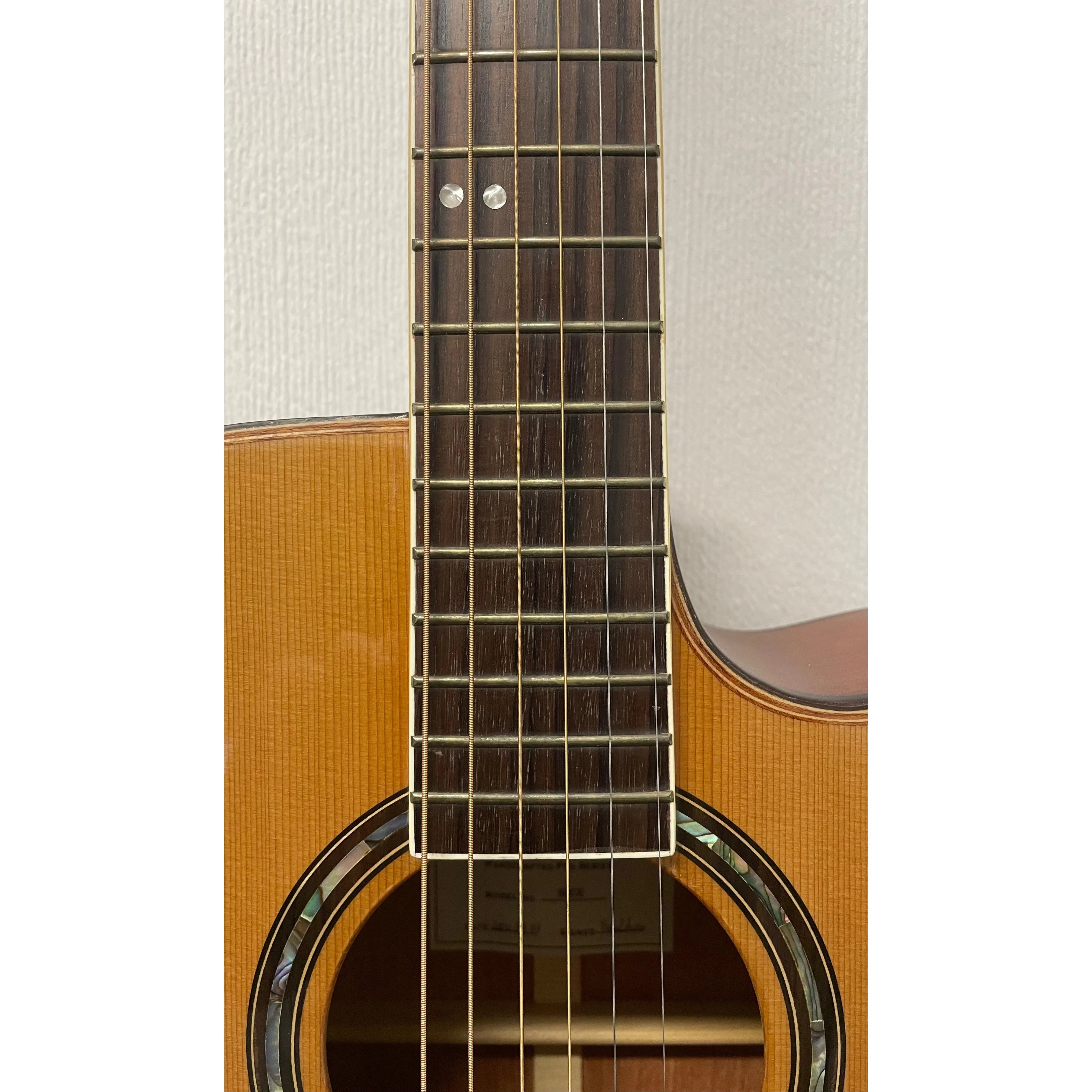 Turner Dreadnought 50CE Electro Acoustic Guitar