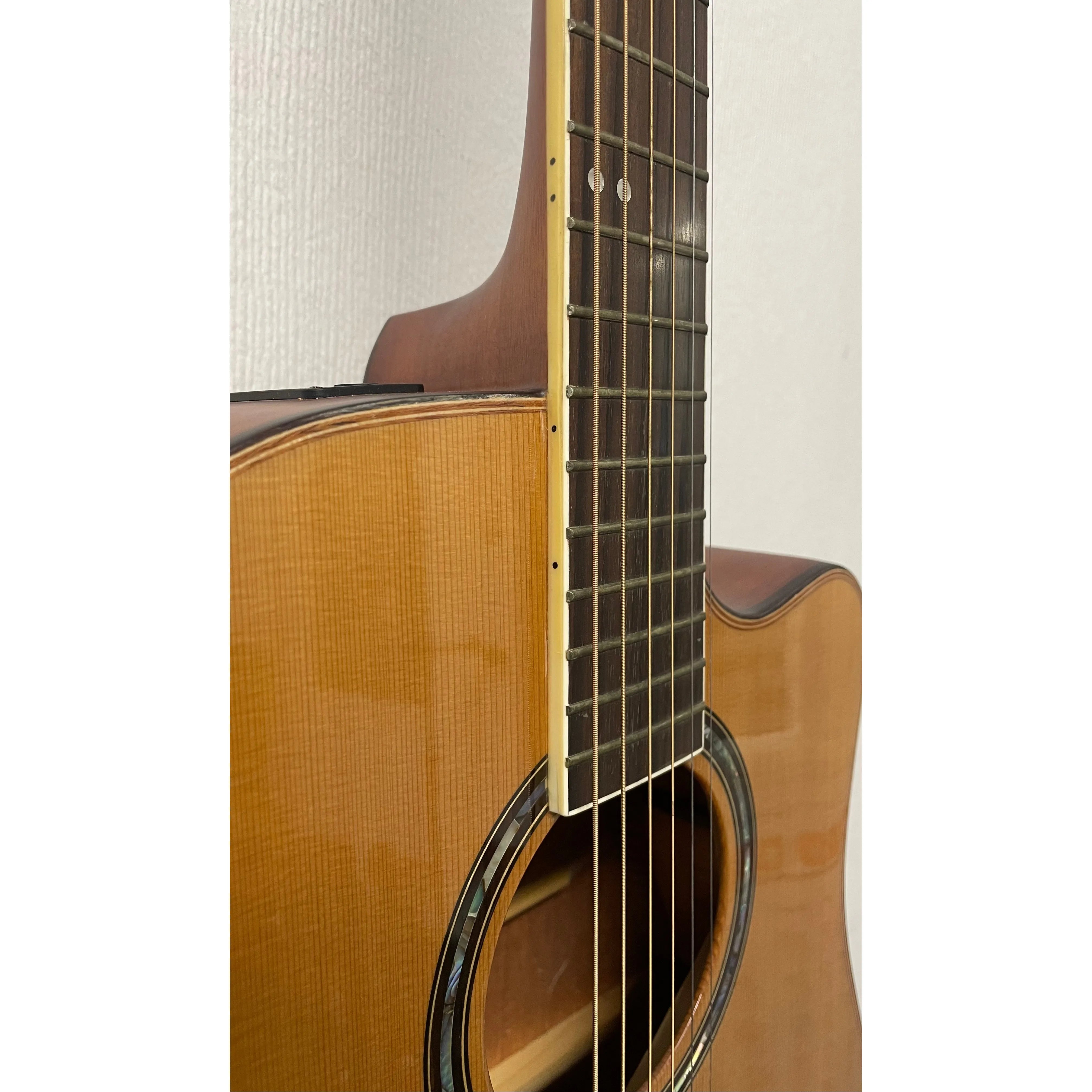 Turner Dreadnought 50CE Electro Acoustic Guitar